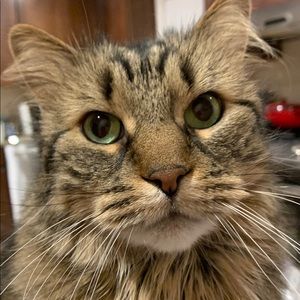 Meet your Posher, Mike